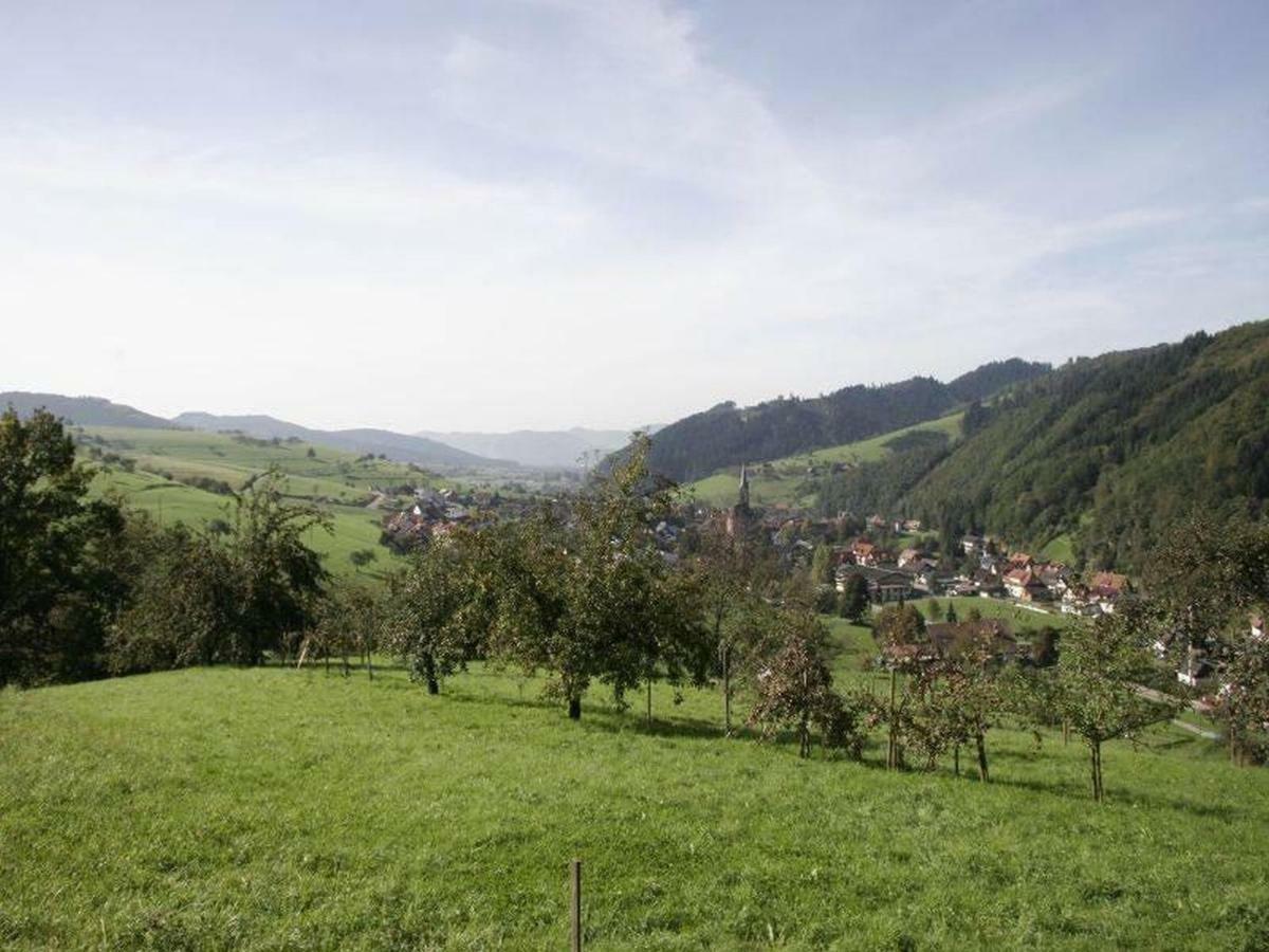 Pension Waldfrieden Oberharmersbach Extérieur photo